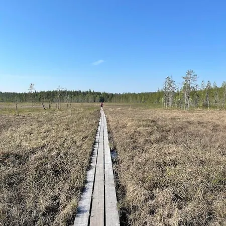 Kaerpaenrinne A * Syote