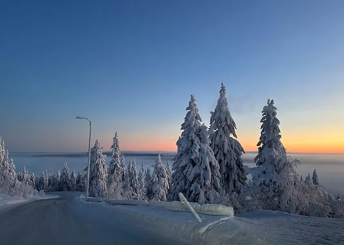 Kaerpaenrinne A 度假居 *