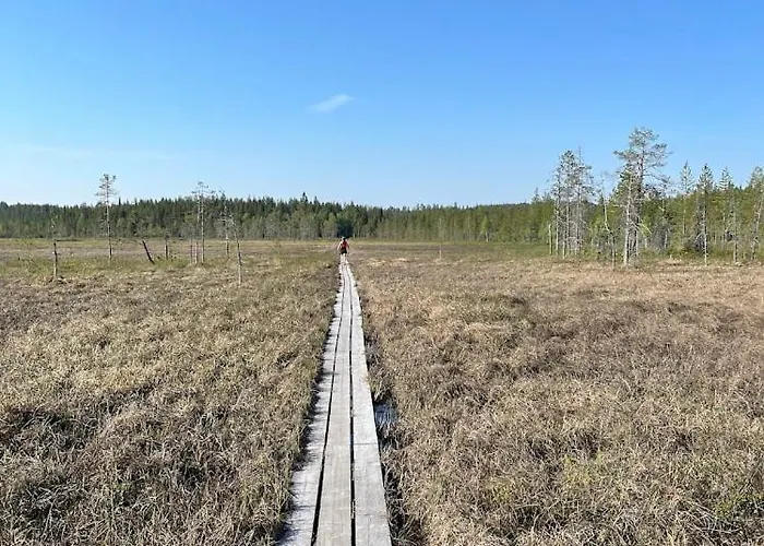 Kaerpaenrinne A * Syöte